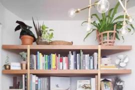 济南室内绿植装饰摆放小技巧，把自己的家做成一个天然氧吧!